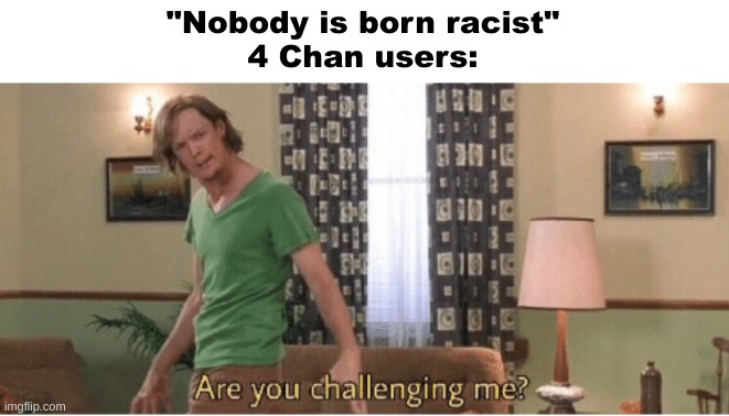 are you challenging me | "Nobody is born racist"
4 Chan users: | image tagged in are you challenging me | made w/ Imgflip meme maker