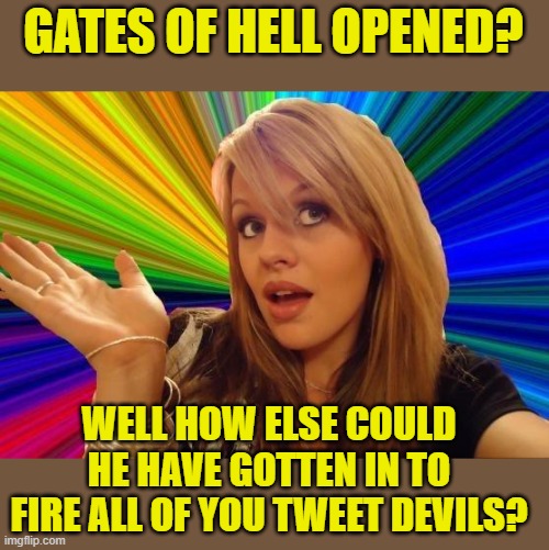 Dumb Blonde Meme | GATES OF HELL OPENED? WELL HOW ELSE COULD HE HAVE GOTTEN IN TO FIRE ALL OF YOU TWEET DEVILS? | image tagged in memes,dumb blonde | made w/ Imgflip meme maker