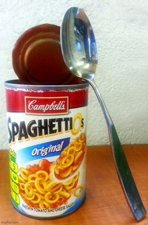 Spaghettios | image tagged in spaghettios | made w/ Imgflip meme maker