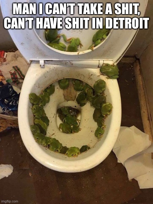 Detroit be like | MAN I CAN’T TAKE A SHIT, CAN’T HAVE SHIT IN DETROIT | image tagged in detroit | made w/ Imgflip meme maker