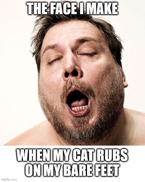 That feels purrdy | THE FACE I MAKE; WHEN MY CAT RUBS
ON MY BARE FEET | image tagged in cats | made w/ Imgflip meme maker