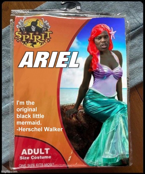 image tagged in ariel,the little mermaid,herschel walker,georgia,clown car republicans,spirit halloween | made w/ Imgflip meme maker