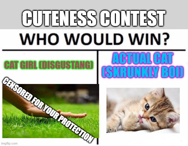 the answer is pretty obvious | CUTENESS CONTEST; CAT GIRL (DISGUSTANG); ACTUAL CAT (SKRUNKLY BOI); CENSORED FOR YOUR PROTECTION | image tagged in memes,who would win | made w/ Imgflip meme maker