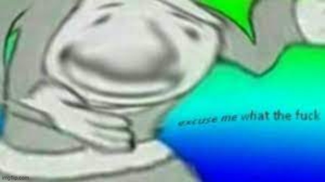 Excuse me what the f*ck | image tagged in excuse me what the f ck | made w/ Imgflip meme maker