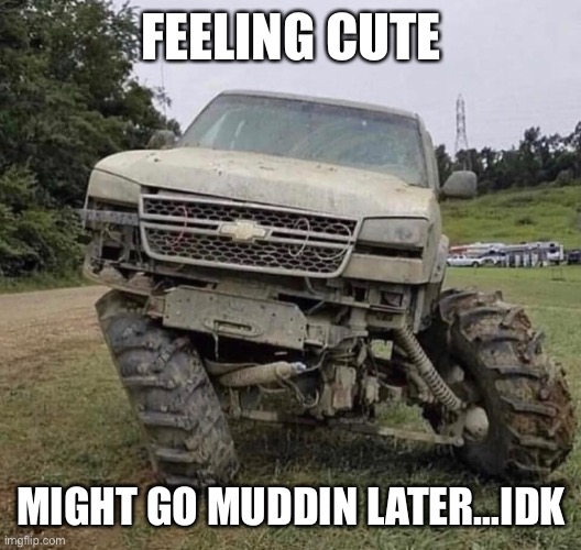 FEELING CUTE; MIGHT GO MUDDIN LATER…IDK | image tagged in feeling cute | made w/ Imgflip meme maker