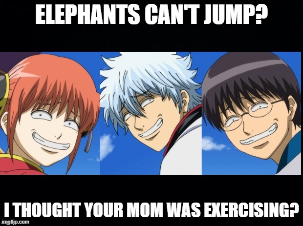 troll anime gintama | ELEPHANTS CAN'T JUMP? I THOUGHT YOUR MOM WAS EXERCISING? | image tagged in troll anime gintama | made w/ Imgflip meme maker