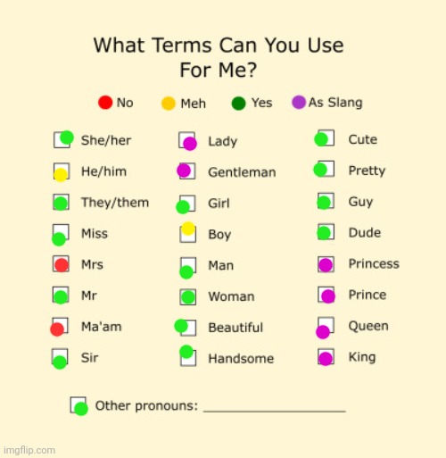 Pronouns Sheet | image tagged in pronouns sheet | made w/ Imgflip meme maker