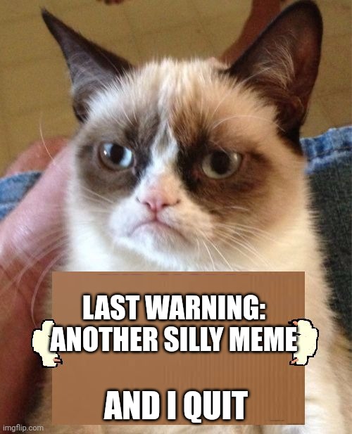 Grumpy Cat Cardboard Sign | LAST WARNING: ANOTHER SILLY MEME; AND I QUIT | image tagged in grumpy cat cardboard sign | made w/ Imgflip meme maker