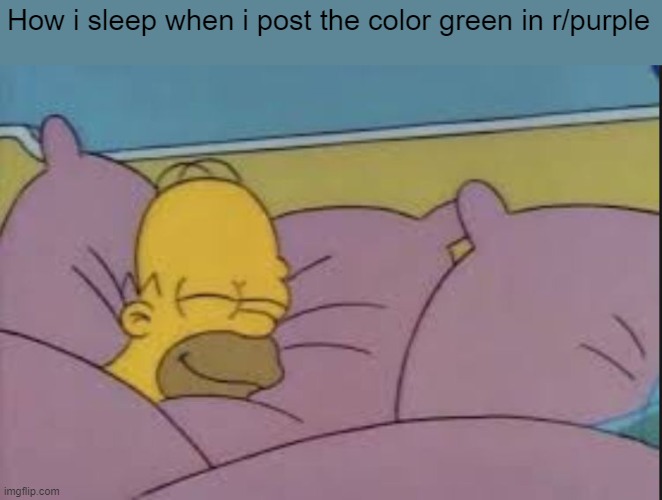 Destruction 100 | How i sleep when i post the color green in r/purple | image tagged in how i sleep homer simpson,green,memes,funny,stop it get some help,ha ha tags go brr | made w/ Imgflip meme maker
