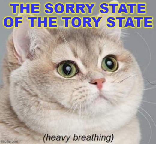 The sorry state of the Tory state | THE SORRY STATE OF THE TORY STATE | image tagged in memes,heavy breathing cat | made w/ Imgflip meme maker