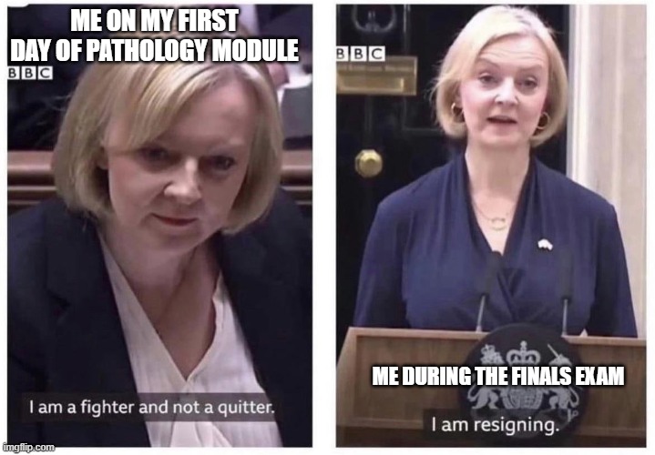 Liz Truss Fighter Not Quitter | ME ON MY FIRST DAY OF PATHOLOGY MODULE; ME DURING THE FINALS EXAM | image tagged in liz truss fighter not quitter | made w/ Imgflip meme maker
