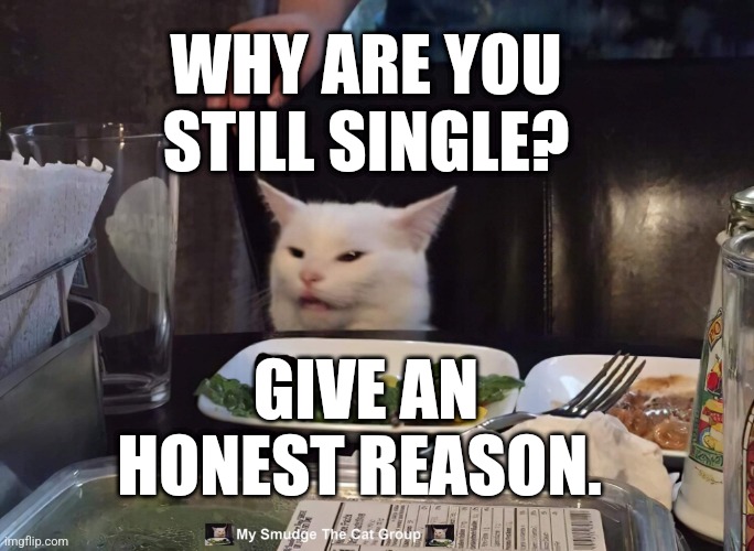 WHY ARE YOU STILL SINGLE? GIVE AN HONEST REASON. | image tagged in smudge the cat | made w/ Imgflip meme maker