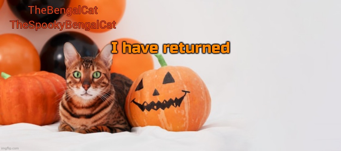 TheSpookyBengalCat annoucment template | I have returned | image tagged in thespookybengalcat annoucment template | made w/ Imgflip meme maker