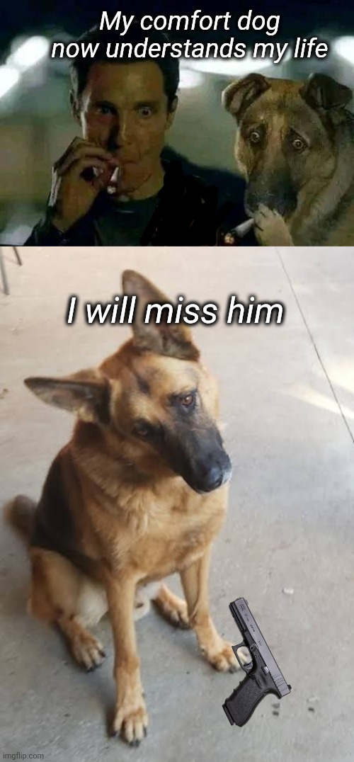 Comfort dog | My comfort dog now understands my life; I will miss him | image tagged in comfort,dogs,funny memes,dark humor | made w/ Imgflip meme maker