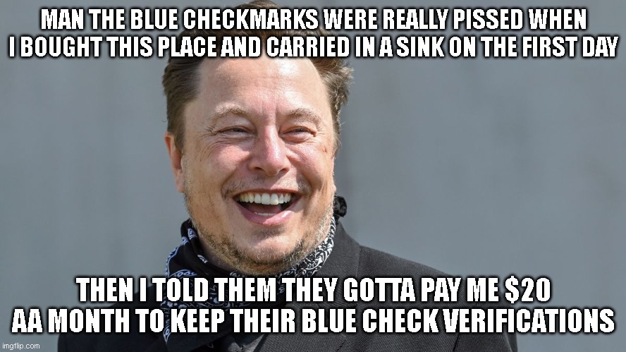 MAN THE BLUE CHECKMARKS WERE REALLY PISSED WHEN I BOUGHT THIS PLACE AND CARRIED IN A SINK ON THE FIRST DAY; THEN I TOLD THEM THEY GOTTA PAY ME $20 AA MONTH TO KEEP THEIR BLUE CHECK VERIFICATIONS | image tagged in elon musk | made w/ Imgflip meme maker