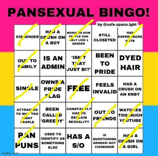 The same bingo one year later | image tagged in pansexual bingo | made w/ Imgflip meme maker