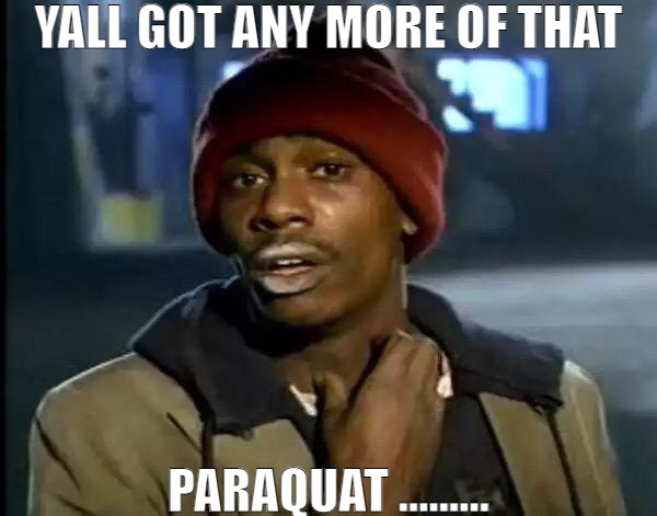 PERSONALLY I NEVER TOUCH THE STUFF! | YALL GOT ANY MORE OF THAT; PARAQUAT ......... | image tagged in memes,y'all got any more of that | made w/ Imgflip meme maker