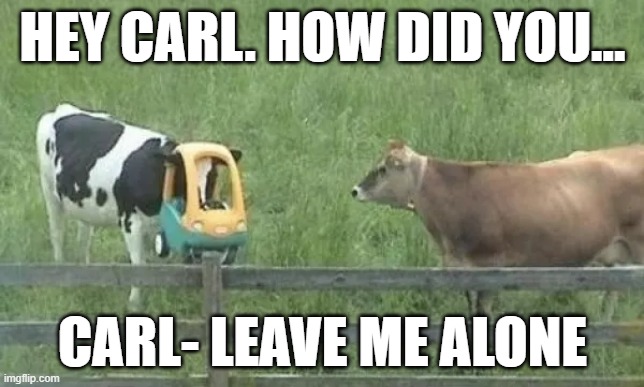 HEY CARL. HOW DID YOU... CARL- LEAVE ME ALONE | image tagged in funny | made w/ Imgflip meme maker