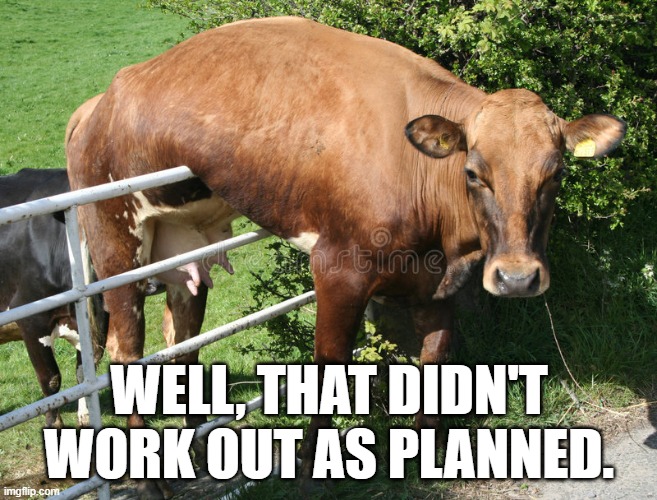 WELL, THAT DIDN'T WORK OUT AS PLANNED. | image tagged in animals | made w/ Imgflip meme maker