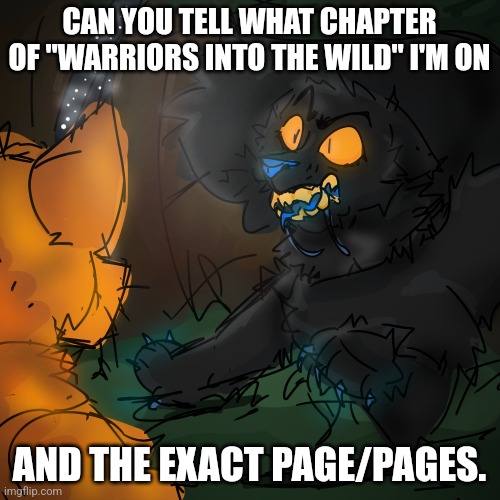 Bet | CAN YOU TELL WHAT CHAPTER OF "WARRIORS INTO THE WILD" I'M ON; AND THE EXACT PAGE/PAGES. | made w/ Imgflip meme maker