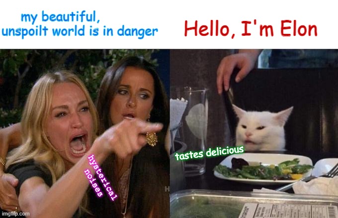 Twitter, Woke, Elon | my beautiful, unspoilt world is in danger; Hello, I'm Elon; tastes delicious; hysterical noises | image tagged in memes,woman yelling at cat | made w/ Imgflip meme maker