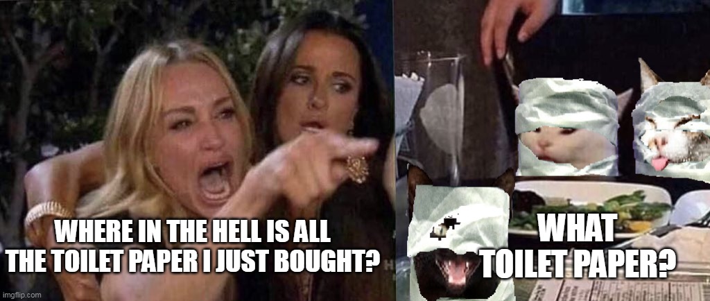 woman yelling at cat | WHERE IN THE HELL IS ALL THE TOILET PAPER I JUST BOUGHT? WHAT TOILET PAPER? | image tagged in woman yelling at cat,meme,memes,humor,funny,halloween | made w/ Imgflip meme maker