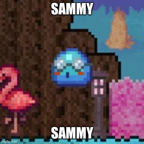 nerd slime | SAMMY SAMMY | image tagged in nerd slime | made w/ Imgflip meme maker