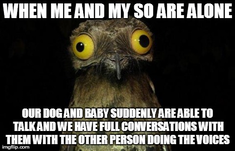 Weird Stuff I Do Potoo | WHEN ME AND MY SO ARE ALONE OUR DOG AND BABY SUDDENLY ARE ABLE TO TALK AND WE HAVE FULL CONVERSATIONS WITH THEM WITH THE OTHER PERSON DOING  | image tagged in memes,weird stuff i do potoo,AdviceAnimals | made w/ Imgflip meme maker