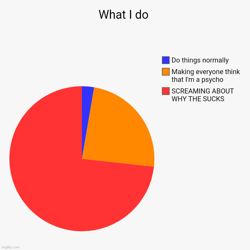 What I do | What I do | SCREAMING ABOUT WHY THE SUCKS, Making everyone think that I'm a psycho, Do things normally | image tagged in charts,pie charts | made w/ Imgflip chart maker