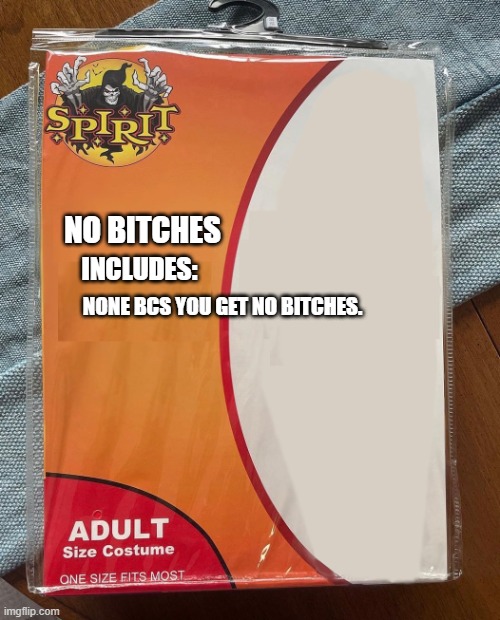 NO BITCHES INCLUDES: NONE BCS YOU GET NO BITCHES. | image tagged in spirit halloween | made w/ Imgflip meme maker