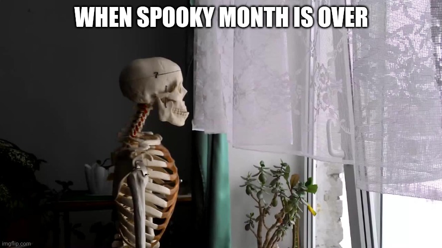 so sad | WHEN SPOOKY MONTH IS OVER | image tagged in sad skeleton,sad,skeleton,halloween,spooky month,oh no | made w/ Imgflip meme maker