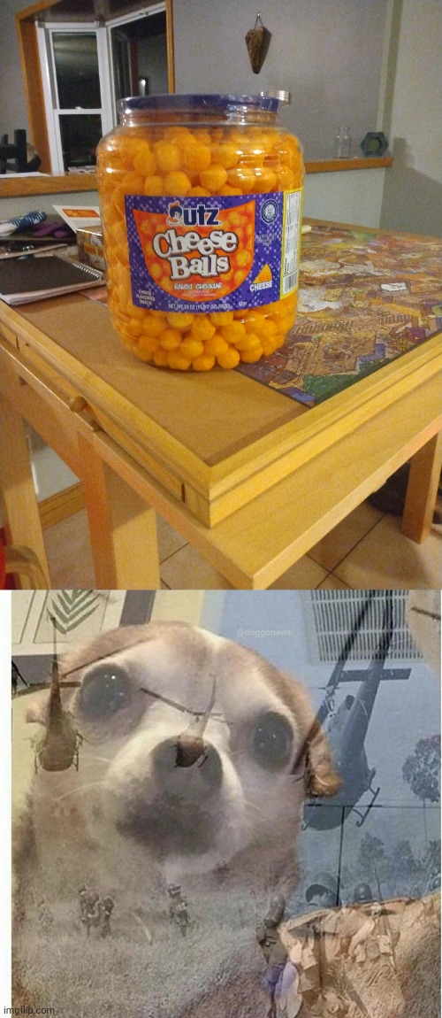 If you know, you know | image tagged in ptsd chihuahua | made w/ Imgflip meme maker