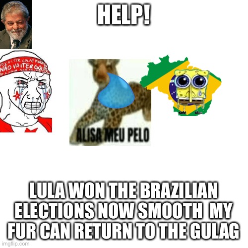 Pls help | HELP! LULA WON THE BRAZILIAN ELECTIONS NOW SMOOTH  MY FUR CAN RETURN TO THE GULAG | image tagged in memes,politics,funny memes,funny,dark humor | made w/ Imgflip meme maker