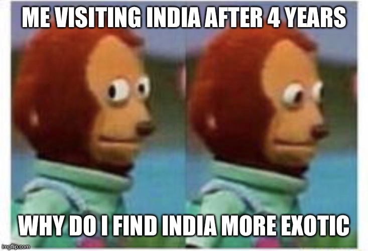 side eye teddy | ME VISITING INDIA AFTER 4 YEARS; WHY DO I FIND INDIA MORE EXOTIC | image tagged in side eye teddy | made w/ Imgflip meme maker