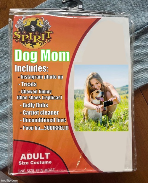 Dog Mom | Dog Mom; Includes:; - Instagram photo op; - Treats; - Chewed Jimmy           Choo shoes (replicas); - Belly Rubs; - Carpet cleaner; - Unconditional love; - Poop ba....SQUIRREL!!! | image tagged in spirit halloween | made w/ Imgflip meme maker