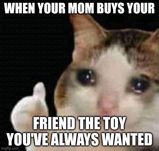 sad thumbs up cat | WHEN YOUR MOM BUYS YOUR; FRIEND THE TOY YOU'VE ALWAYS WANTED | image tagged in sad thumbs up cat | made w/ Imgflip meme maker