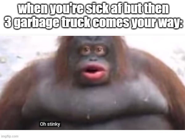 uh oh stinky | when you're sick af but then 3 garbage truck comes your way: | image tagged in monke | made w/ Imgflip meme maker