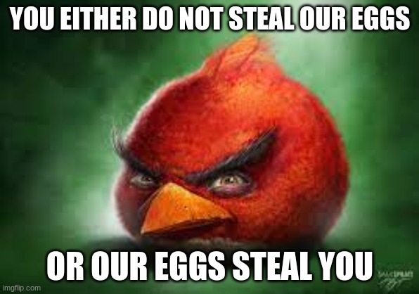 Lol | YOU EITHER DO NOT STEAL OUR EGGS; OR OUR EGGS STEAL YOU | image tagged in realistic red angry birds | made w/ Imgflip meme maker