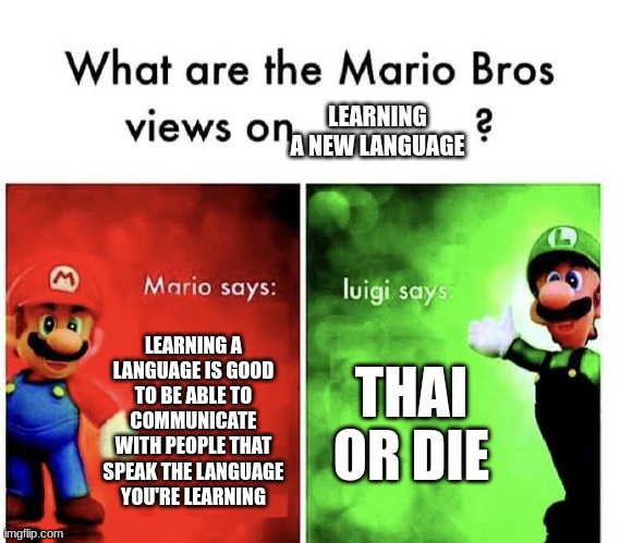 Mario Bros Views | LEARNING A NEW LANGUAGE; LEARNING A LANGUAGE IS GOOD TO BE ABLE TO COMMUNICATE WITH PEOPLE THAT SPEAK THE LANGUAGE YOU'RE LEARNING; THAI OR DIE | image tagged in mario bros views | made w/ Imgflip meme maker