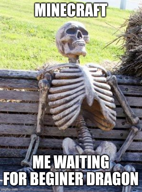 Waiting Skeleton | MINECRAFT; ME WAITING FOR BEGINER DRAGON | image tagged in memes,waiting skeleton | made w/ Imgflip meme maker