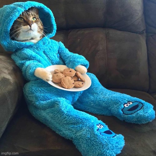 Cookie Monster Cat | image tagged in cookie monster cat | made w/ Imgflip meme maker