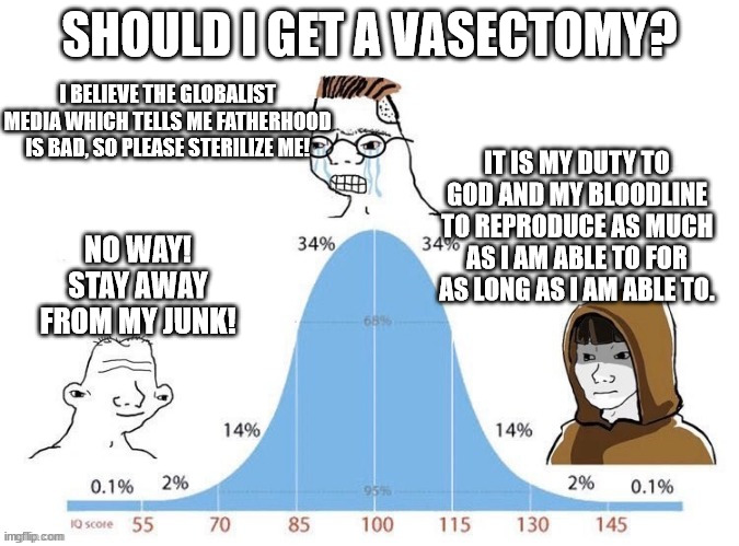 bell curve | SHOULD I GET A VASECTOMY? I BELIEVE THE GLOBALIST MEDIA WHICH TELLS ME FATHERHOOD IS BAD, SO PLEASE STERILIZE ME! IT IS MY DUTY TO GOD AND MY BLOODLINE TO REPRODUCE AS MUCH AS I AM ABLE TO FOR AS LONG AS I AM ABLE TO. NO WAY! STAY AWAY FROM MY JUNK! | image tagged in bell curve | made w/ Imgflip meme maker