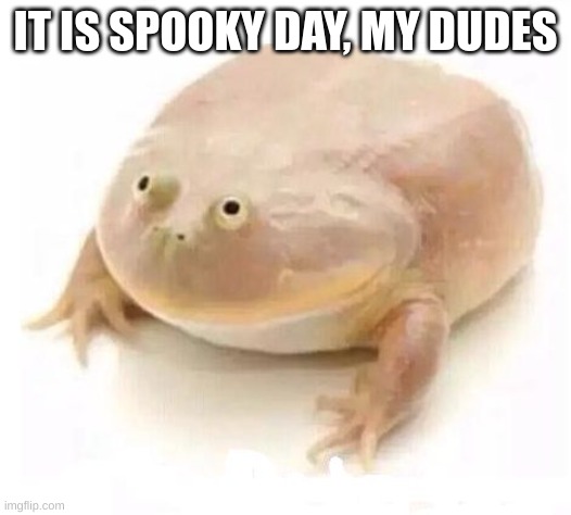 My Dudes | IT IS SPOOKY DAY, MY DUDES | image tagged in my dudes | made w/ Imgflip meme maker