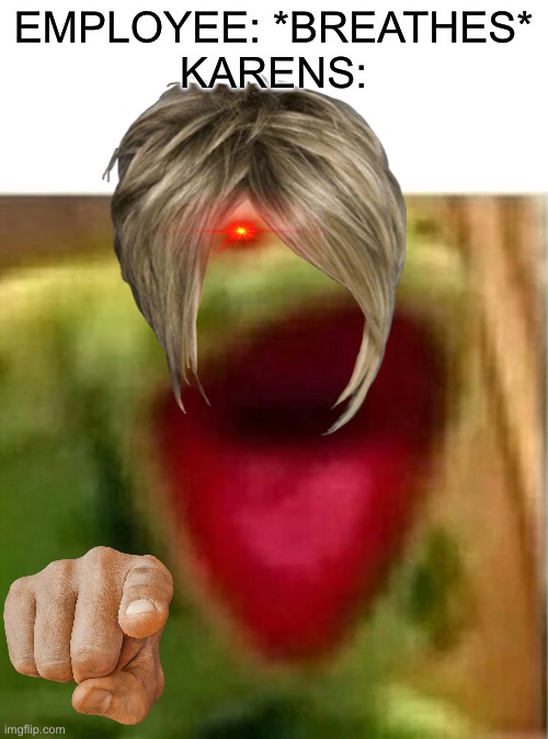 AHHHHHHHHHHHHH | EMPLOYEE: *BREATHES*
KARENS: | image tagged in ahhhhhhhhhhhhh | made w/ Imgflip meme maker