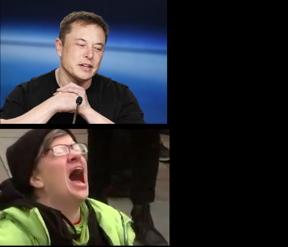 Elon and Screaming Liberal Blank Meme Template