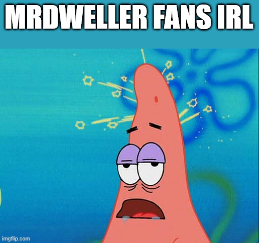 Dumb Patrick Star | MRDWELLER FANS IRL | image tagged in dumb patrick star | made w/ Imgflip meme maker