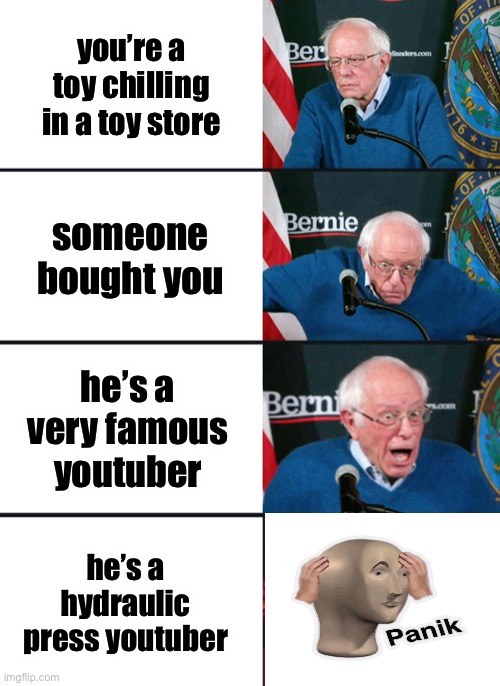 Bernie Sanders reaction (nuked) | you’re a toy chilling in a toy store; someone bought you; he’s a very famous youtuber; he’s a hydraulic press youtuber | image tagged in bernie sanders reaction nuked | made w/ Imgflip meme maker