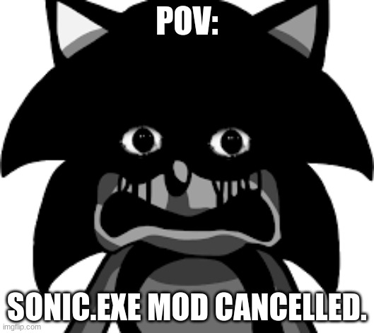 Cancelled | POV:; SONIC.EXE MOD CANCELLED. | image tagged in sonic the hedgehog,sonic exe,friday night funkin | made w/ Imgflip meme maker