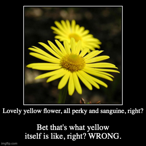 Yellow Flower | image tagged in funny,demotivationals,flower,yellow | made w/ Imgflip demotivational maker