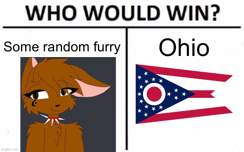 Who Would Win? | Some random furry; Ohio | image tagged in memes,who would win | made w/ Imgflip meme maker